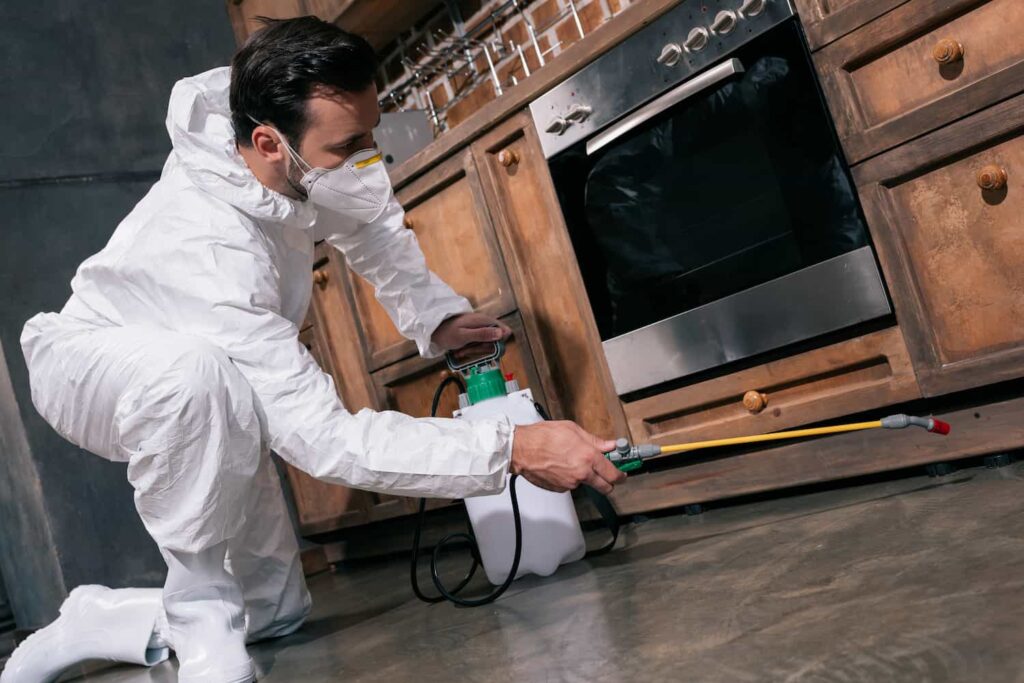 Homem realizando a dedetização em uma cozinha