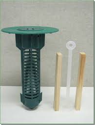 dedetização de cupim