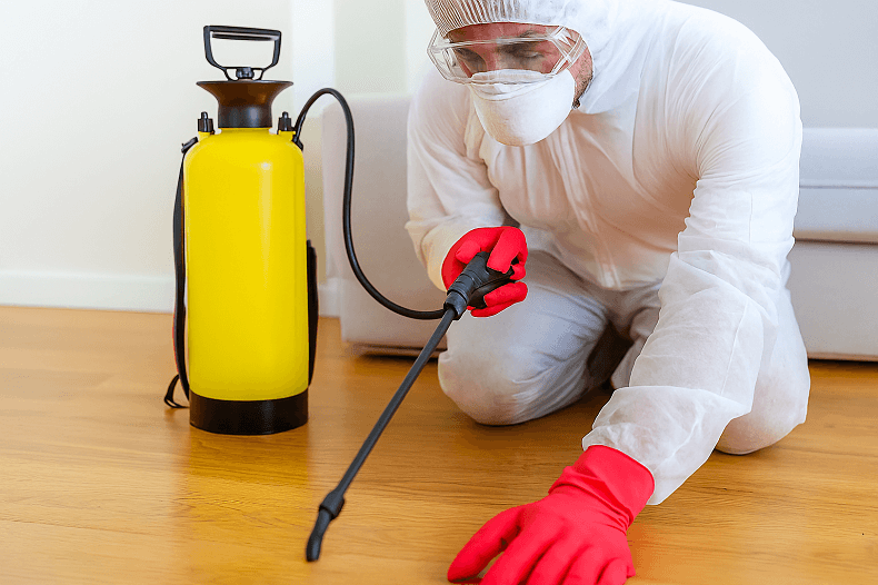 Profissional realizando desinsetização com equipamento de pulverização em ambiente interno.