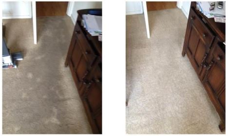 limpeza de carpete antes e depois